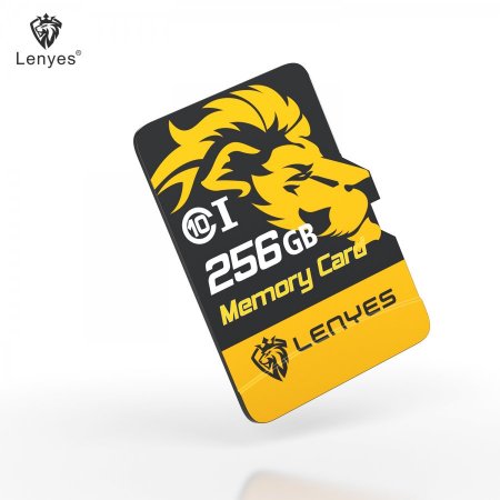 C10-MEMORY CARD-256G